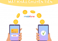 Hướng dẫn cách lấy lại mật khẩu chuyển tiền Mobifone