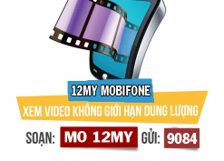 Đăng ký gói cước 12MY Mobifone