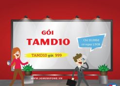 Đăng ký gói TAMD10 Mobifone