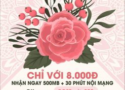 Gói cước Rose Mobifone