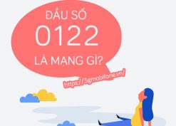 Đầu số 0122 là mạng gì?