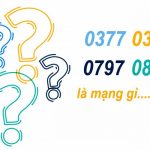 Đầu số 0377, 0387, 0797, 0857 là mạng gì?