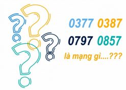 Đầu số 0377, 0387, 0797, 0857 là mạng gì?