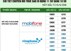 Các đầu số Mobifone mới nhất 2021 hiện nay sau khi chuyển sang 10 số