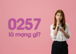 0257 là mạng gì? Đầu số 0257 là của nhà mạng nào?