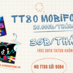 Đăng ký gói cước TT80 Mobifone miễn phí data truy cập Tiktok không giới hạn