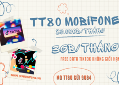 Đăng ký gói cước TT80 Mobifone miễn phí data truy cập Tiktok không giới hạn