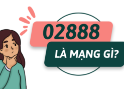 Đầu số 02888 là mạng gì? Có phải lừa đảo không?