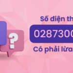 Số điện thoại 02873001111 là của ai?