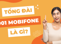 Tổng đài 901 là gì?