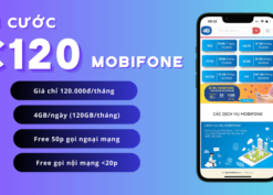 Đăng ký gói cước C120 Mobifone có 120GB data và gọi free cả tháng