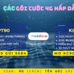 Nên chọn đăng ký gói PT90 Mobifone hay gói KC90 Mobifone?