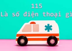 Số điện thoại 115 là số gì?