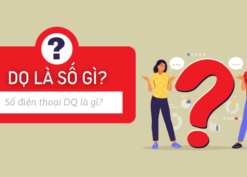 DQ là số điện thoại gì?