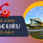 Mã vùng Bạc Liêu cố định là số mấy?