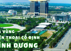 Mã vùng điện thoại cố định Bình Dương số mấy?