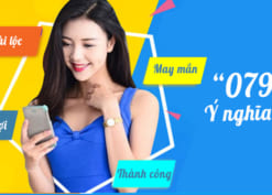 Đầu số 079 là mạng gì?