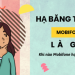 Hạ băng thông là gì? Khi nào Mobifone hạ băng thông?