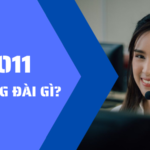 9011 là tổng đài gì? Có phải là lừa đảo hay không?