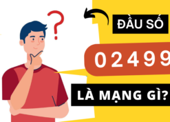 Đầu số 02499 là mạng gì?