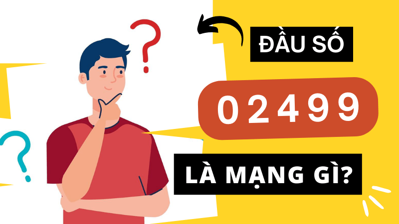 Đầu số 02499 là mạng gì?