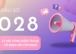 Đầu số 028 là mạng gì?