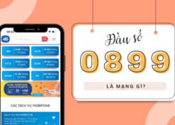 Đầu số 0899 là mạng gì?