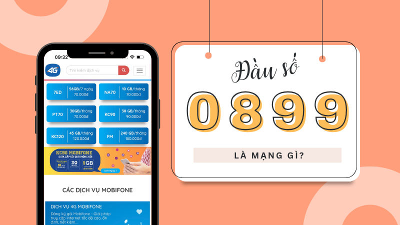 Đầu số 0899 là mạng gì?