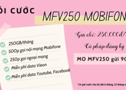 Đăng ký gói cước MFV250 Mobifone có data siêu khủng, gọi thả ga