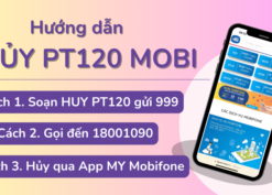 Hướng dẫn cách hủy gói cước PT120 Mobifone nhanh nhất