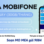 Đăng ký gói cước MEA Mobifone nhận 30GB data dùng cả tháng
