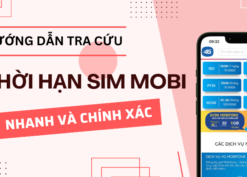 Hướng dẫn cách kiểm tra thời hạn sim Mobifone đang sử dụng