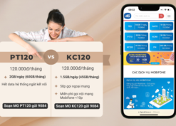 Nên chọn đăng ký gói PT120 hay gói KC120 Mobifone