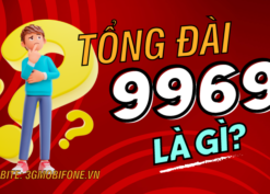 Tổng đài 9969 là tổng đài gì?