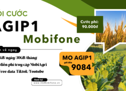 Đăng ký gói cước AGIP1 Mobifone có 30GB data và truy cập Tiktok/Youtube