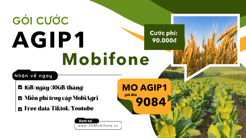 Đăng ký gói cước AGIP1 Mobifone có 30GB data và truy cập Tiktok/Youtube 