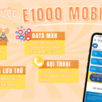 Đăng ký gói E1000 Mobifone có ngay 50GB/ngày, miễn phí gọi thoại, dùng MXH và lưu trữ