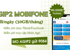 Đăng ký gói cước AGIP2 Mobifone có 30GB/tháng, Free data Tiktok và Facebook