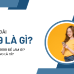 Tổng đài 9199 Mobifone là tổng đài gì?