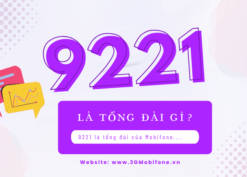 Tổng đài Mobifone 9221 là tổng đài của Mobifone