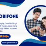 Đăng ký gói 5GV Mobifone ưu đãi 240GB, gọi thoại và free dùng MXH